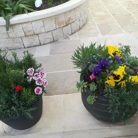 Vidos Макарська