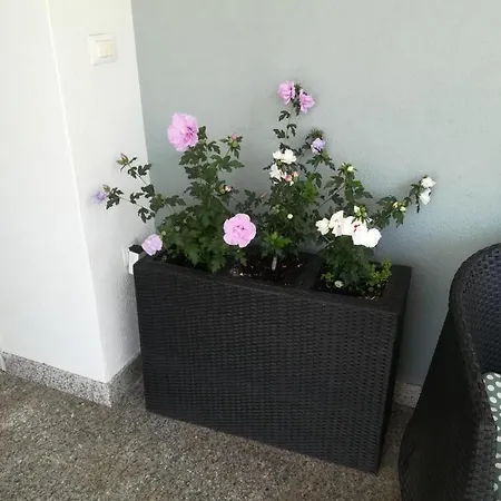 Appartement Vidos *