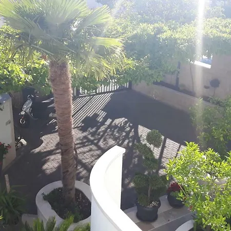 Vidos Μακάρσκα