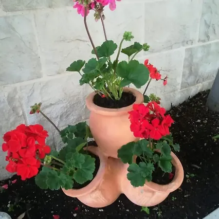 アパート Vidos *