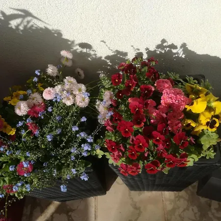 アパート Vidos マカルスカ