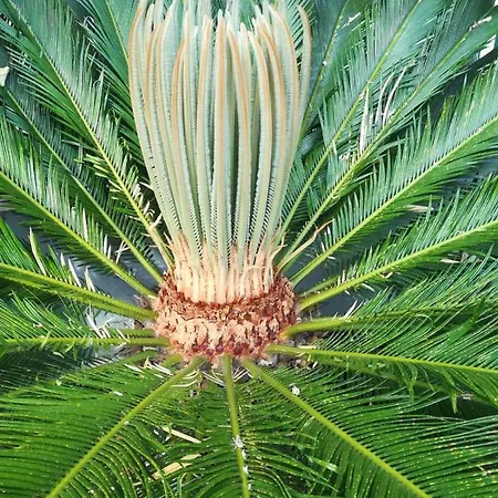 アパート Vidos *