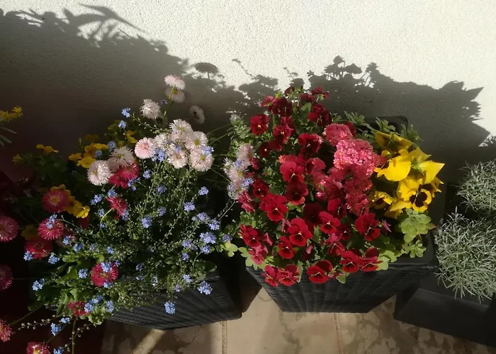 Апартаменти Vidos Макарська